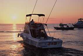 Hotel Palmas De Cortez