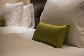 Hotel Ryumeikan Ochanomizu Honten