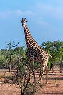 Mopane Bush Lodge