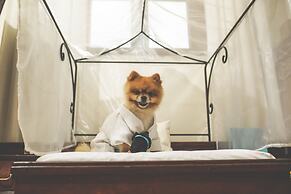 Rosewood San Miguel De Allende