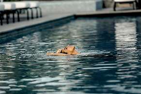 Rosewood San Miguel De Allende