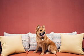 Rosewood San Miguel De Allende