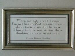 Exmoor House - Guest House