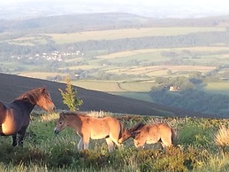 Exmoor House - Guest House