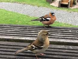 Exmoor House - Guest House