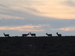 Exmoor House - Guest House