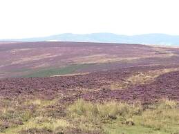 Exmoor House - Guest House