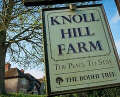 The Place To Stay
