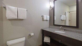 Best Western Plus Austin Airport Inn & Suites