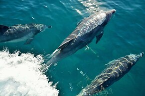 Seahorse Inn Hotel & Villas