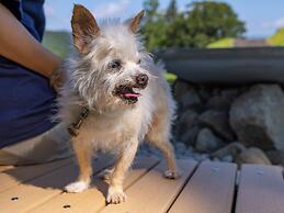 APA Hotel & Resort Jyoetsu Myoko