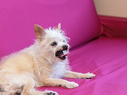 APA Hotel & Resort Jyoetsu Myoko