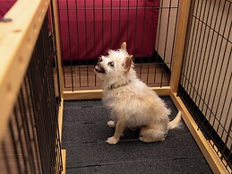 APA Hotel & Resort Jyoetsu Myoko