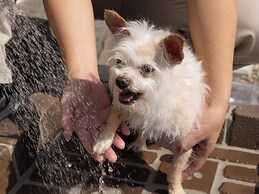 APA Hotel & Resort Jyoetsu Myoko