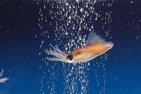 APA Hotel Uozu Ekimae