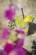 Kefalonia Bay Palace