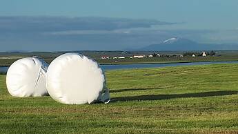 Guesthouse Vatnsholt