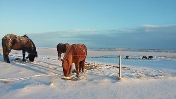 Guesthouse Vatnsholt