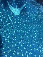 Villas do Indico Eco - Resort & Spa Lodge