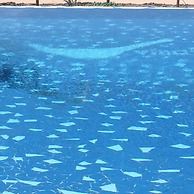 Villas do Indico Eco - Resort & Spa Lodge