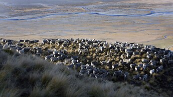 Glentanner Park Centre