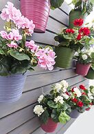 Mareta Beach Boutique Bed & Breakfast