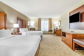 Comfort Inn & Suites near Bethel College