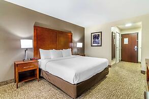 Comfort Inn & Suites near Bethel College