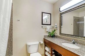 Comfort Inn & Suites near Bethel College