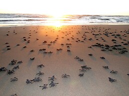 Las Villas Hotel & Golf by Estrella del Mar