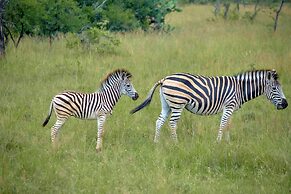 Protea Hotel by Marriott Polokwane Ranch Resort