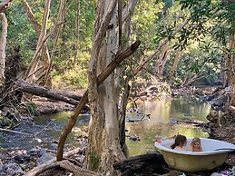 Cedar Park Rainforest Resort