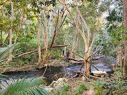 Cedar Park Rainforest Resort