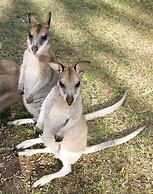 Cedar Park Rainforest Resort