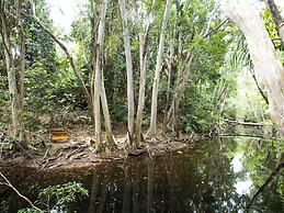 Cedar Park Rainforest Resort