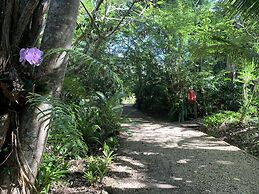 Cedar Park Rainforest Resort