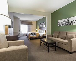Sleep Inn & Suites