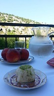 Villa Velagić
