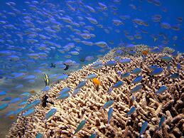 Arya Amed Beach Resort and Dive Center