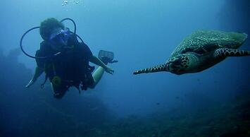 Arya Amed Beach Resort and Dive Center