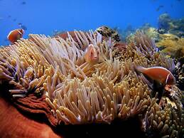 Arya Amed Beach Resort and Dive Center