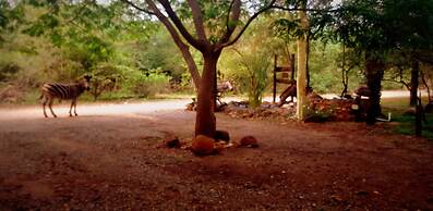 Phumula Kruger Lodge