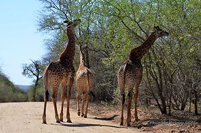 Phumula Kruger Lodge