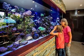 BIG4 Gold Coast Holiday Park