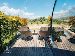 The Wine House Hotel - Quinta da Pacheca