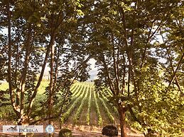 The Wine House Hotel - Quinta da Pacheca