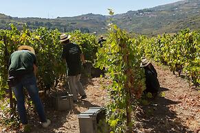 The Wine House Hotel - Quinta da Pacheca
