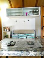 Golondrinas de la Alhambra