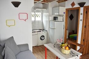 Golondrinas de la Alhambra