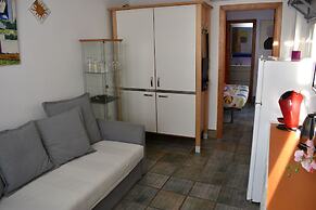 Golondrinas de la Alhambra